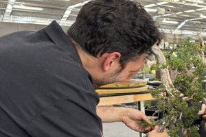 25788E52-FE3F-4D77-A274-612154A7B4B6_1_105_c