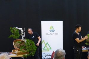 5344EF89-A74F-4A25-B542-C88DF324D23E_1_105_c